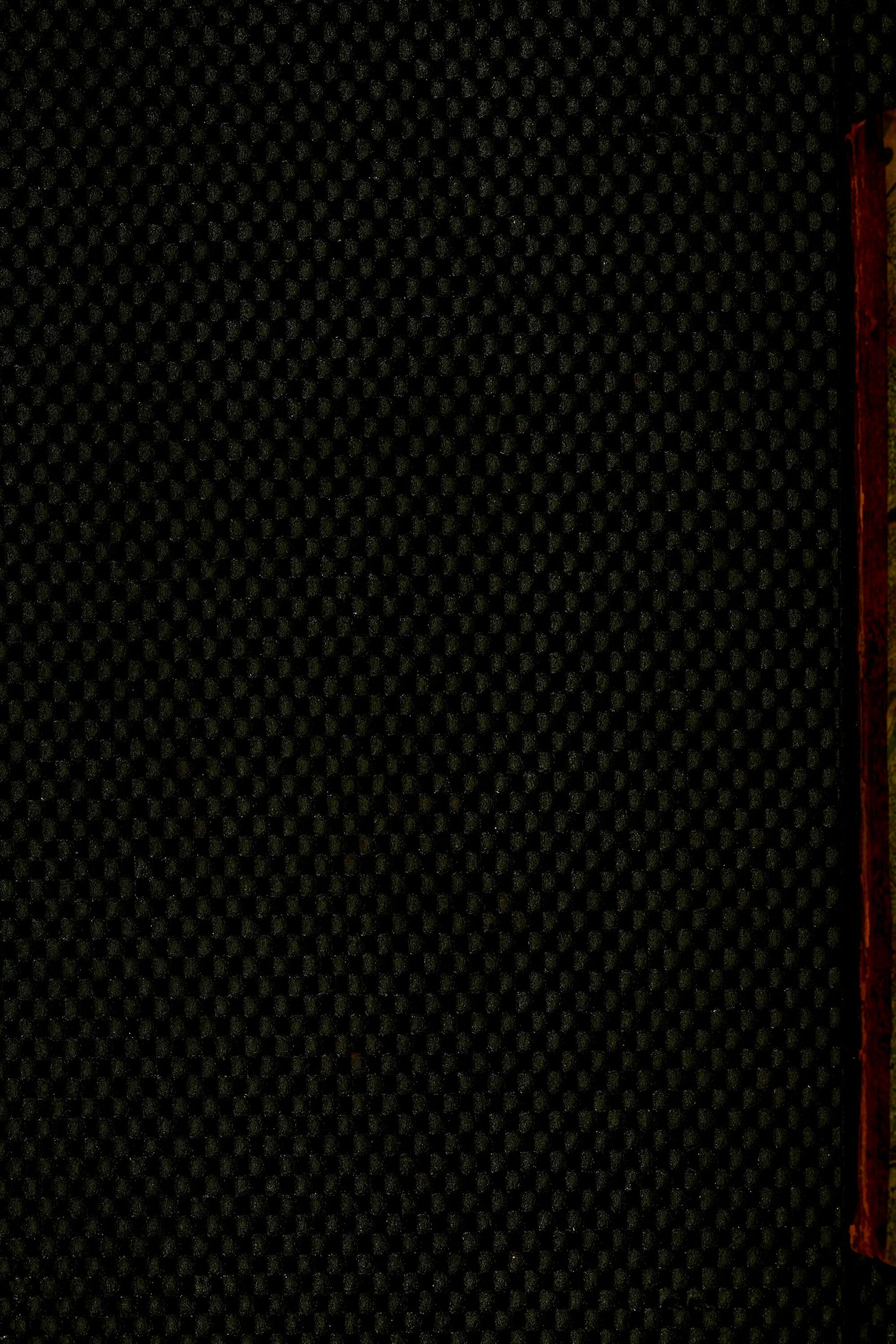 Natural History of British Insects Vol. 5